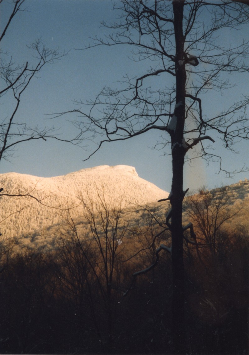 Camel's Hump Nordic Ski Area Trail Finder
